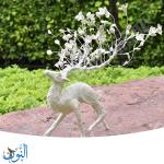 عجينة تتصلب بالهواء 500 غم NARA AHC