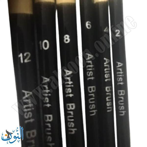 طقم 6 فراشي رسم Chivalry