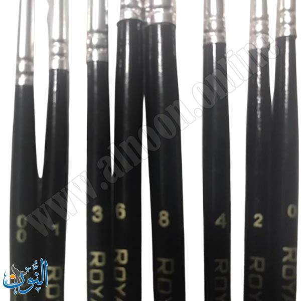 طقم 8 فراشي رسم ROYAL ART