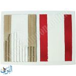 طبقة تمهيدية بيضاء جيسو  250 مل pebeo GESSO