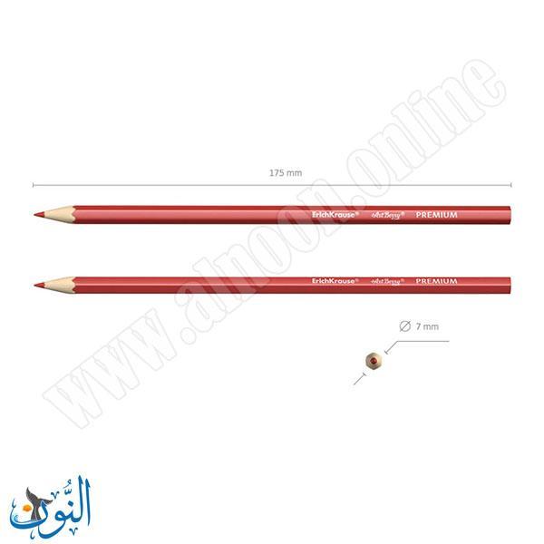 الوان خشب 24 لون علبة معدنية  ErichKrause PREMIUME