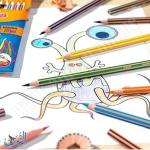 الوان خشب 12 لون  BIC Stripes