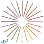 الوان خشب 24 لون  BIC Stripes