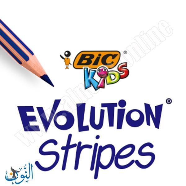 الوان خشب 12 لون  BIC Stripes