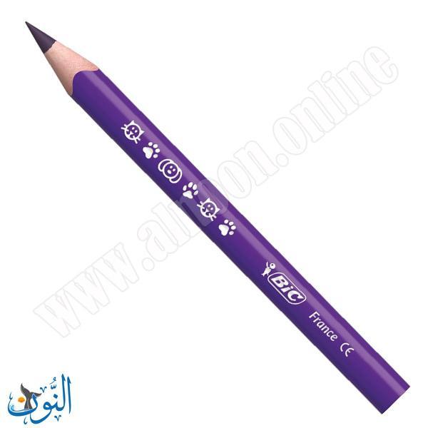 الوان خشب عملاق 12 لون BIC TRIANGLE